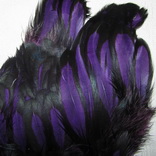������� ���� Hen feathers BLW ����������